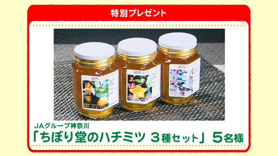 特別プレゼント