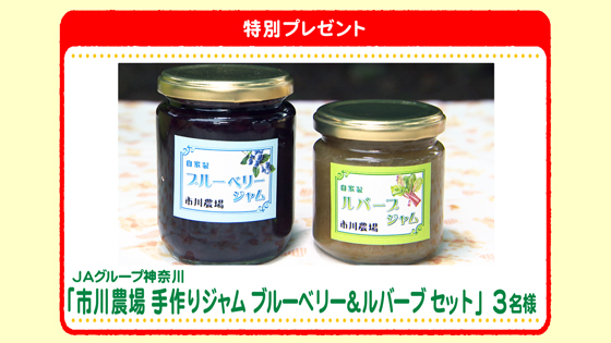 特別プレゼント