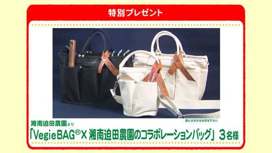 特別プレゼント