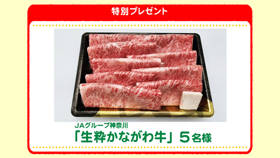 特別プレゼント