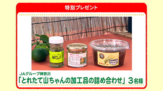特別プレゼント