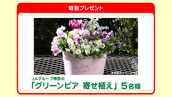 特別プレゼント