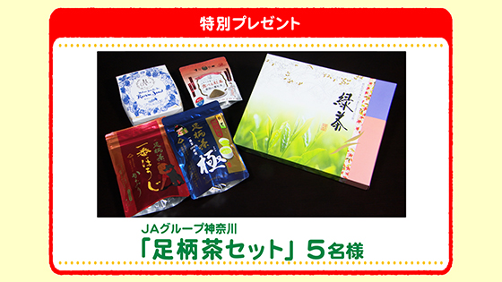 特別プレゼント