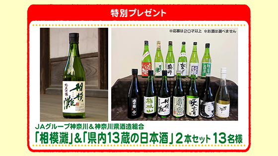 特別プレゼント