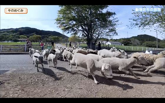 250504