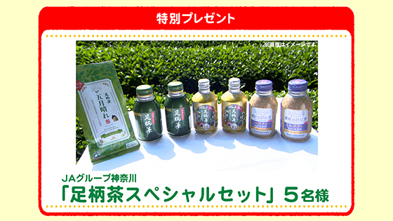 特別プレゼント