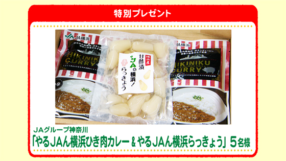 特別プレゼント