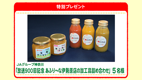 特別プレゼント