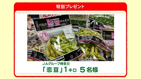 特別プレゼント