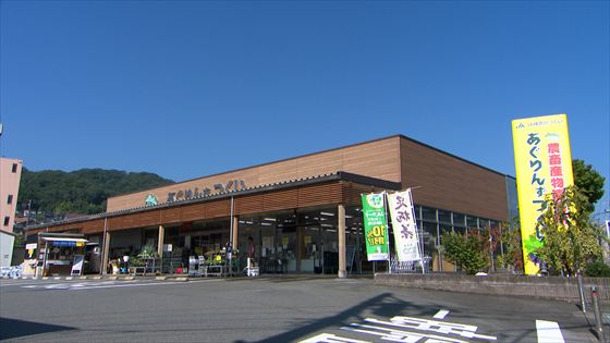 250831