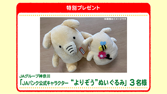 特別プレゼント