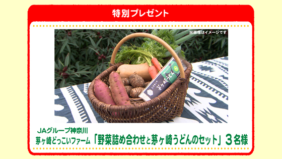 特別プレゼント