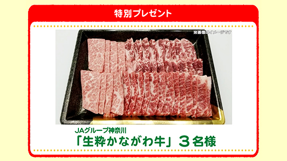 特別プレゼント