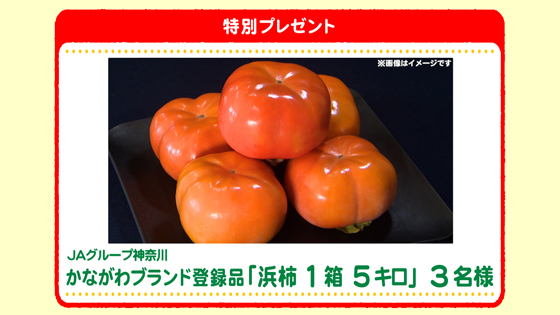 特別プレゼント