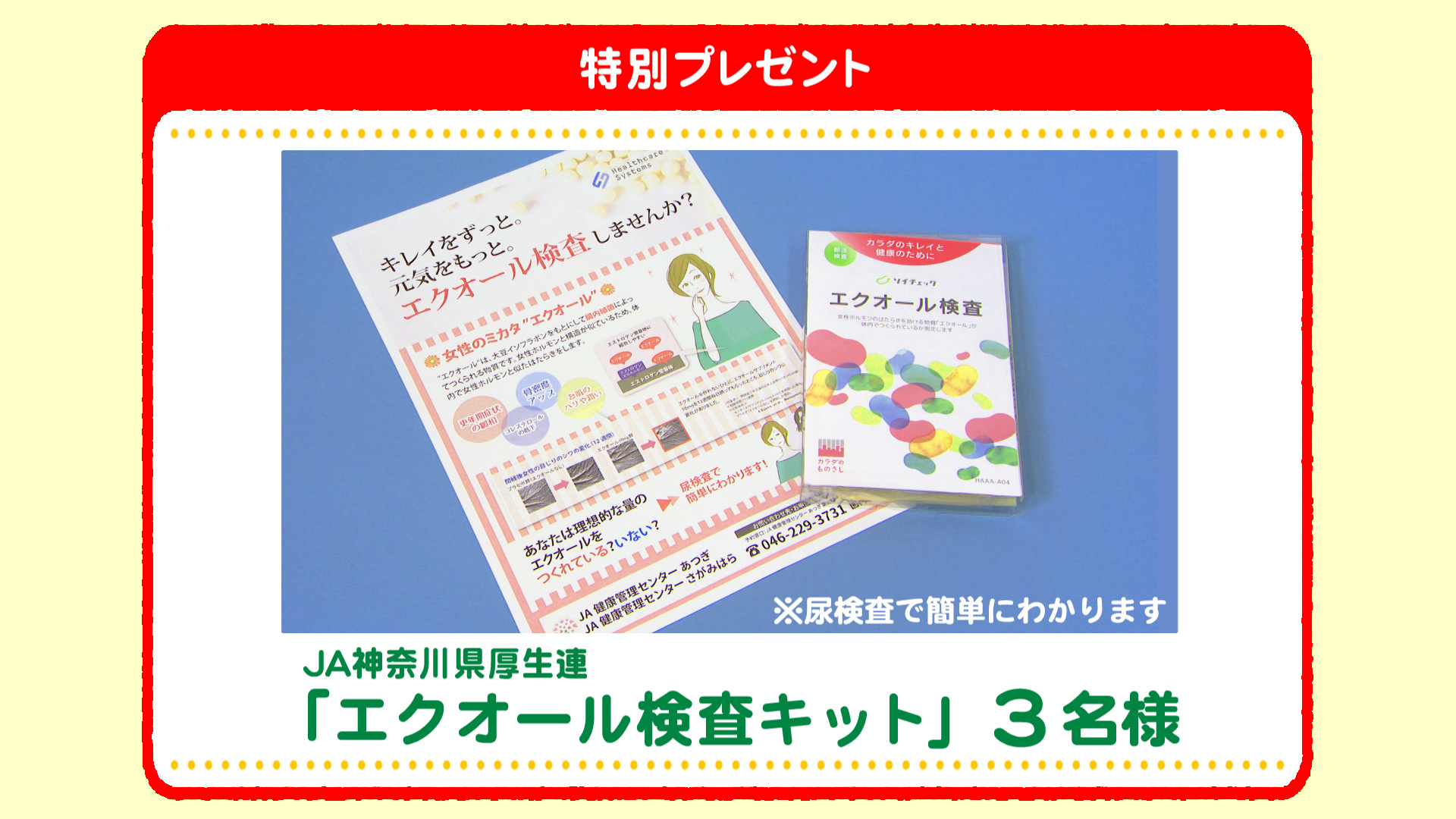 特別プレゼント