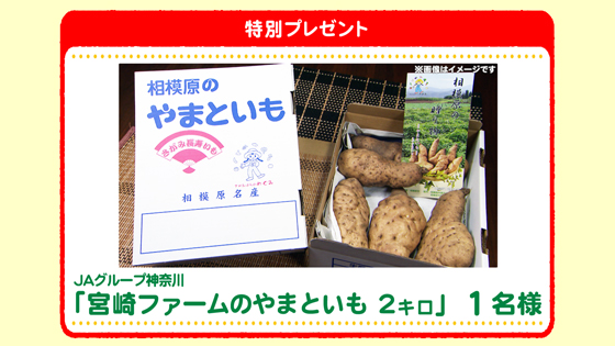 特別プレゼント