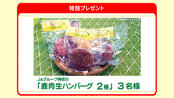 特別プレゼント