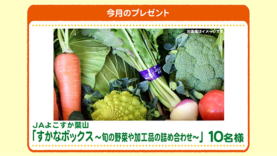 今月のプレゼント