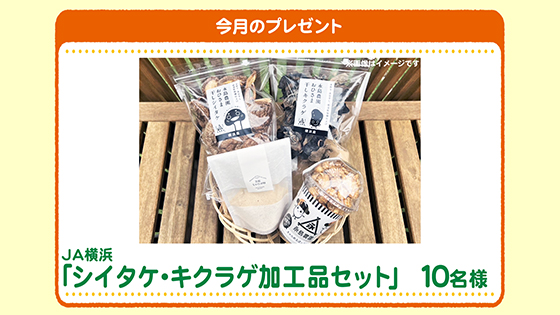 今月のプレゼント