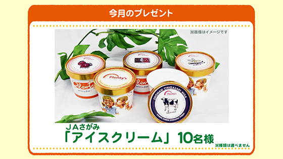 今月のプレゼント