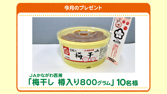 今月のプレゼント