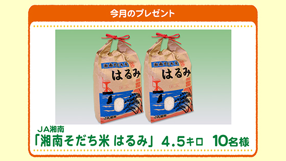 今月のプレゼント