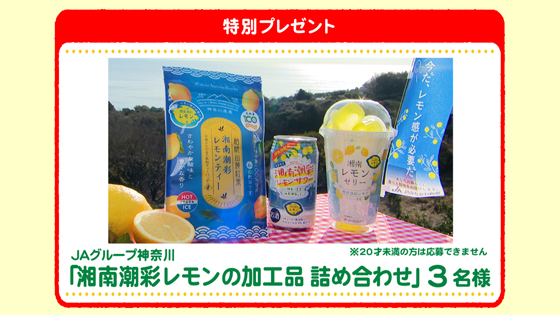 特別プレゼント