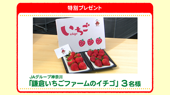 特別プレゼント