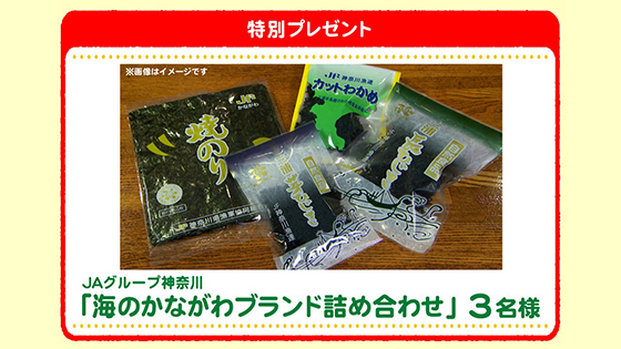 特別プレゼント