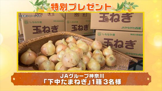 特別プレゼント