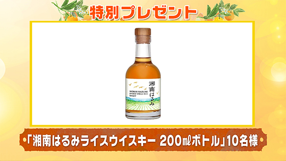 特別プレゼント
