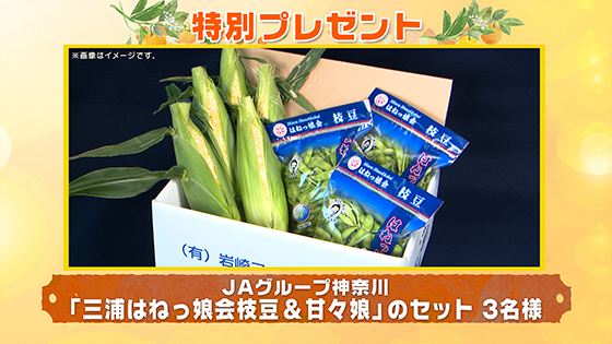 特別プレゼント