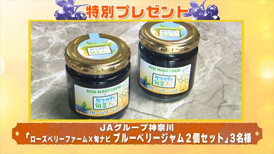 特別プレゼント