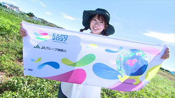 261004