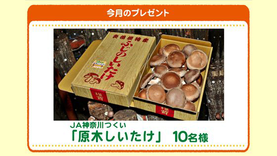 今月のプレゼント