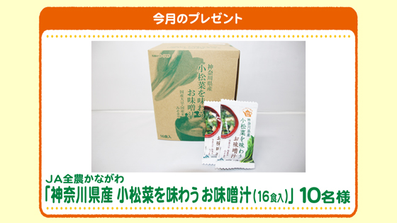 今月のプレゼント