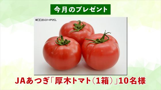 今月のプレゼント