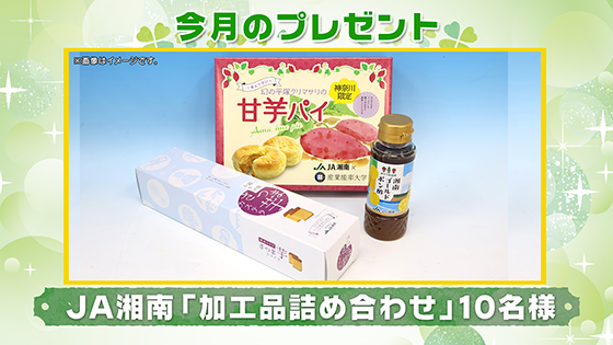 今月のプレゼント