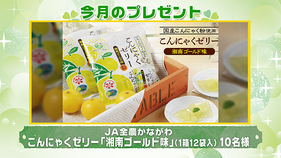 今月のプレゼント