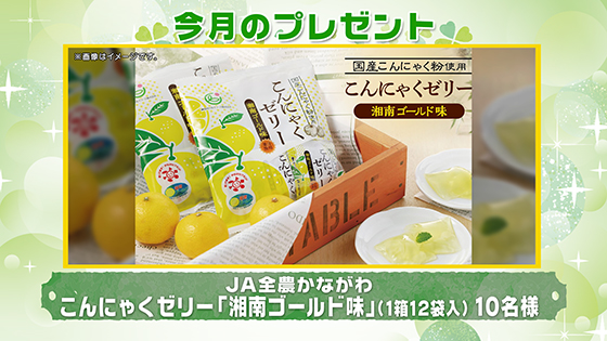 今月のプレゼント