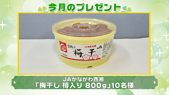 今月のプレゼント