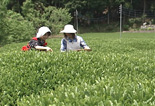 080518_03.jpg