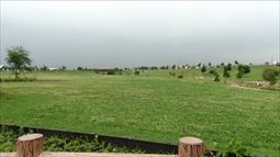 1600703_014.jpg