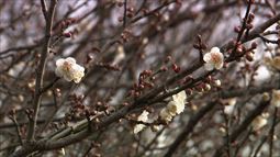170122_017.jpg