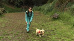170409_015.jpg