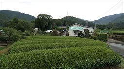 170730_014.jpg