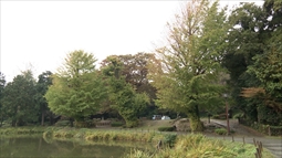181118_001.jpg