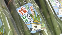 200419