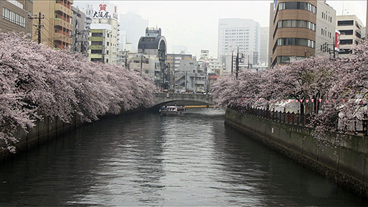 stun_130407_9.jpg