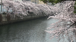 stun_130407_11.jpg